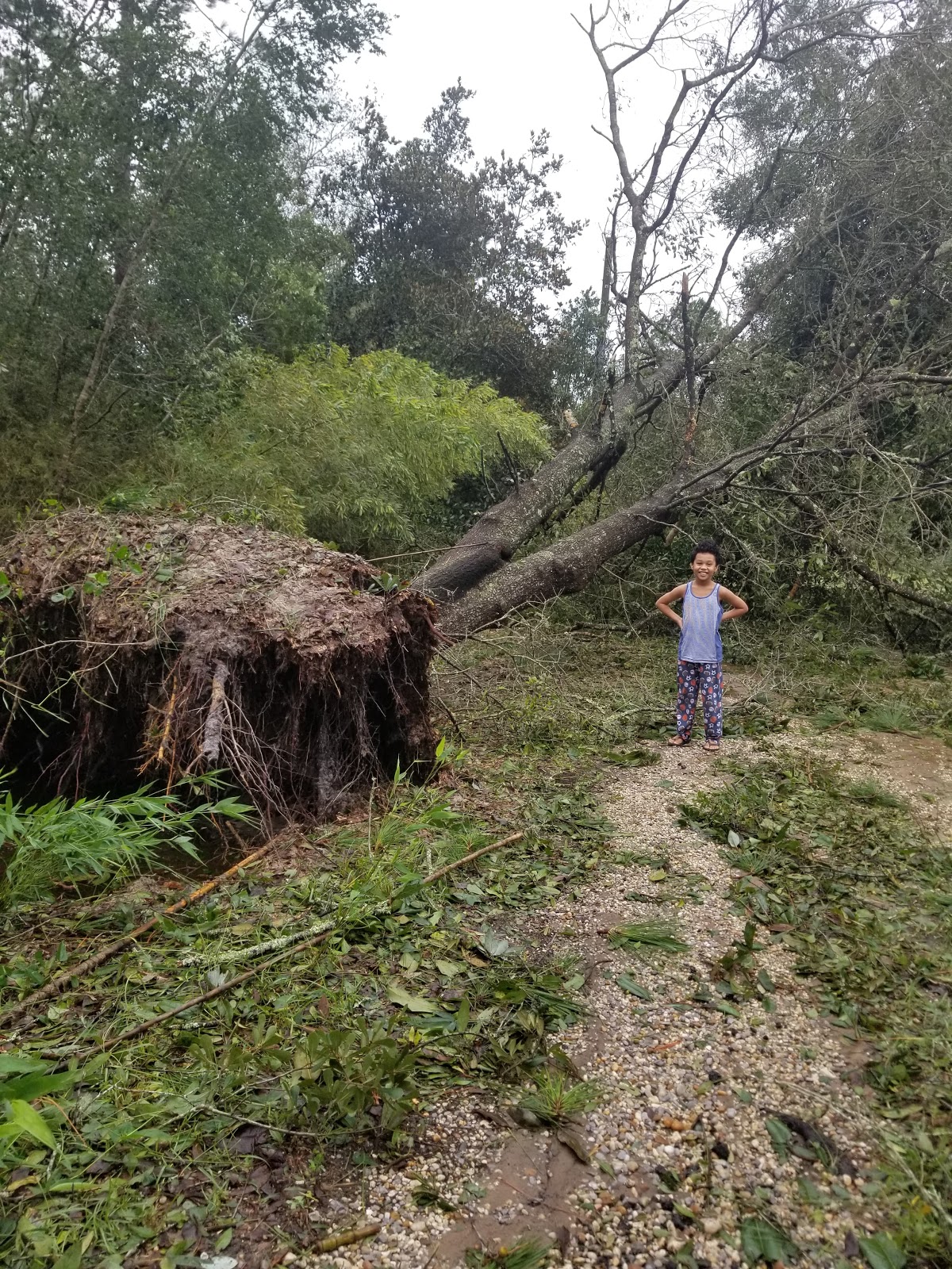 Hurricane Sally and My Wife