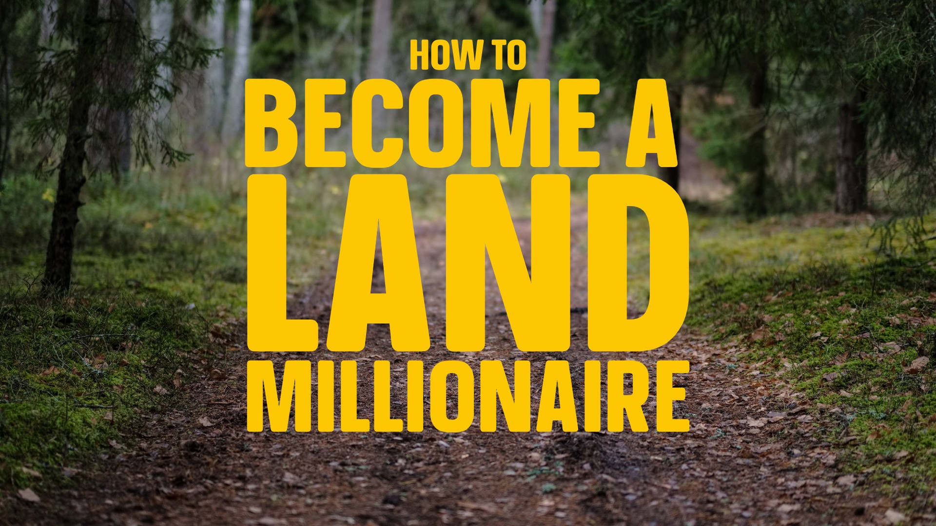 How to Become a LAND Millionaire