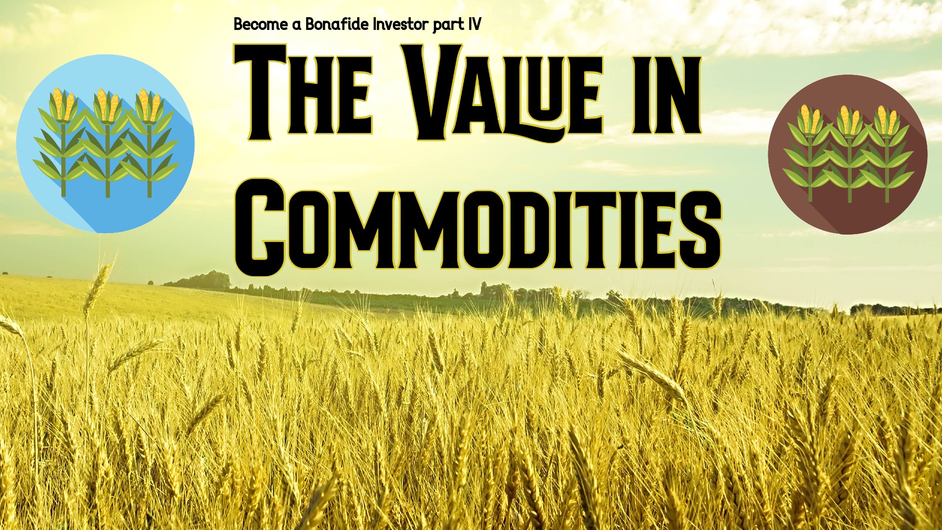 Become a Bonafide Investor part IV: The Value in Commodities